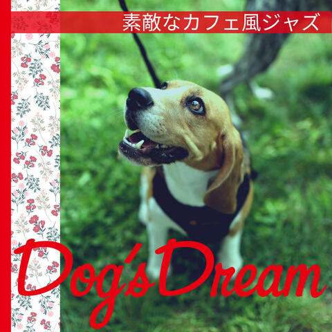 素敵なカフェ風ジャズ