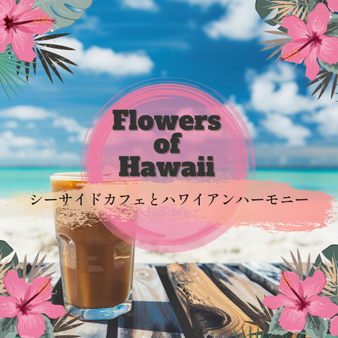 シーサイドカフェとハワイアンハーモニー