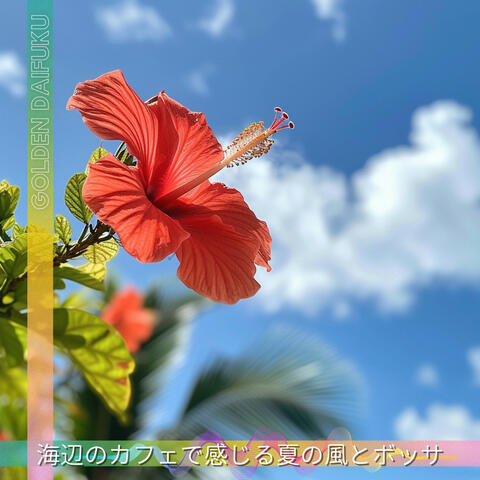 海辺のカフェで感じる夏の風とボッサ