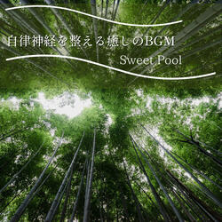 Essential Oils of the Forest
