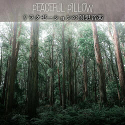 Healing Visions in Mist