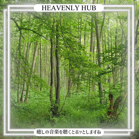 癒しの音楽を聴くとホッとしますね
