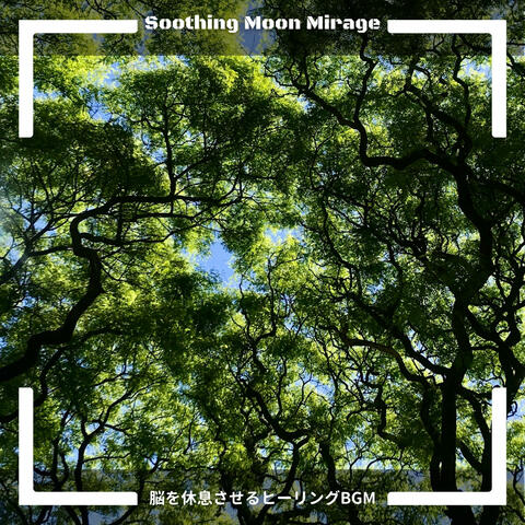 脳を休息させるヒーリングBGM