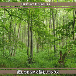 The Story of the Darkened City