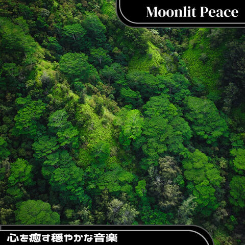 心を癒す穏やかな音楽