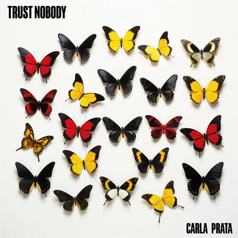Trust Nobody