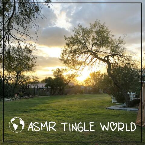 Tingly Gentle ASMR Trigger Experience (No Talking)