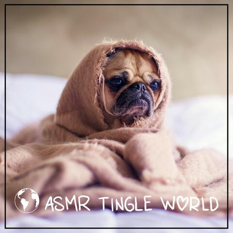 Loofah ASMR (Slow, Crinkly, No Talking)
