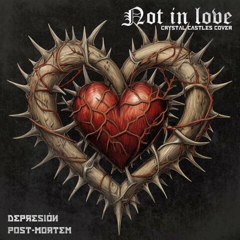 Not In Love