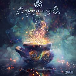 Animus