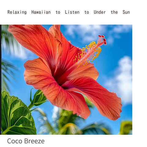 Relaxing Hawaiian to Listen to Under the Sun
