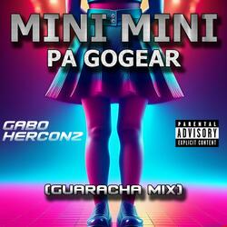 MINI MINI PA GOGEAR