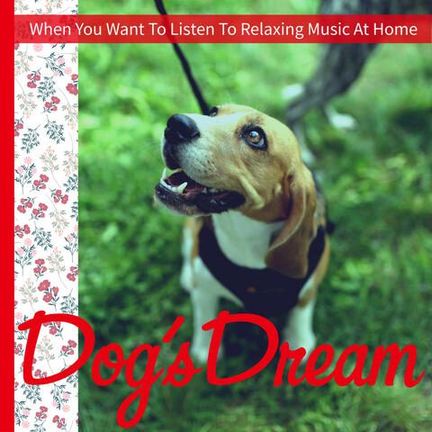 When You Want To Listen To Relaxing Music At Home