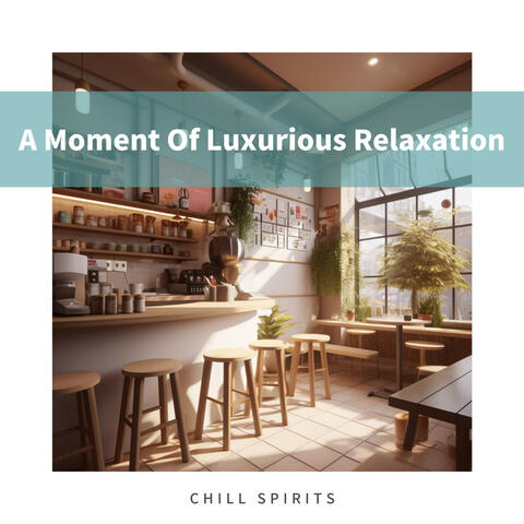 A Moment Of Luxurious Relaxation