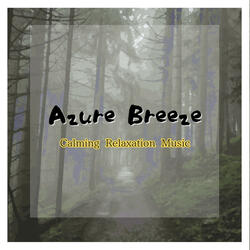 Unwinding Paths Through Nature