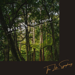 Soothe in Depth Waves