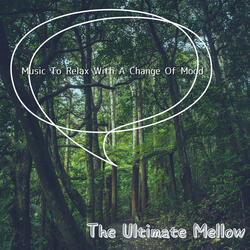 Dream Weaver's Silent Song