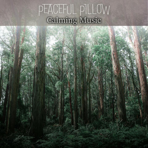 Calming Music