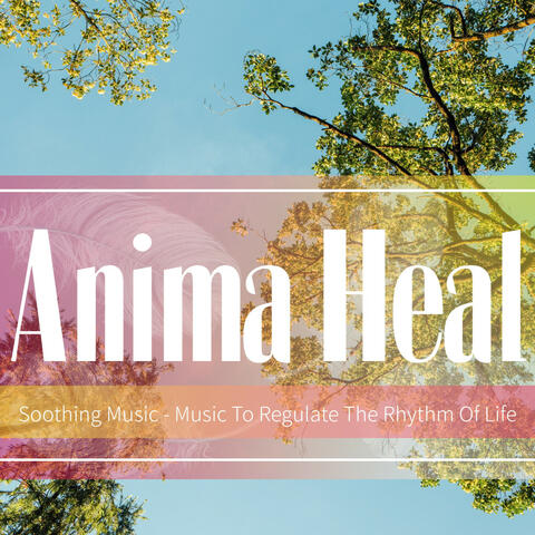 Soothing Music - Music To Regulate The Rhythm Of Life