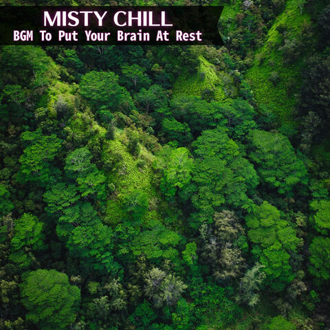 BGM To Put Your Brain At Rest