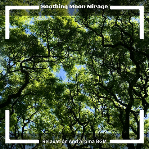 Relaxation And Aroma BGM