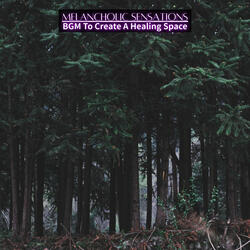 Celestial Canvas of Calm