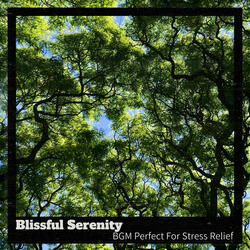 Time for a New Beginning