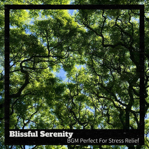 BGM Perfect For Stress Relief