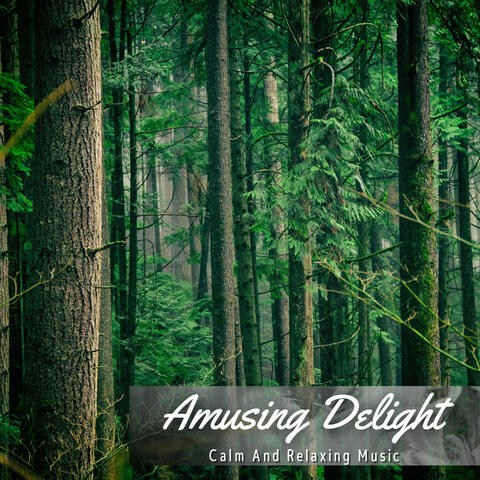 Calm And Relaxing Music