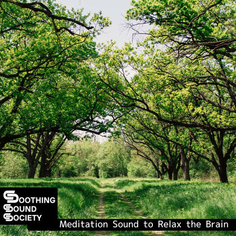 Meditation Sound to Relax the Brain
