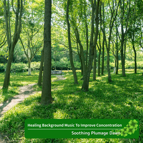 Healing Background Music To Improve Concentration