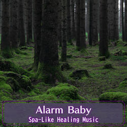 Harmonic Bliss Awakens