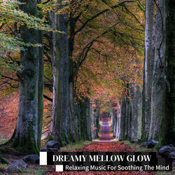 Drifting Through Calm Visions