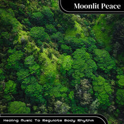 Out on the Open Road