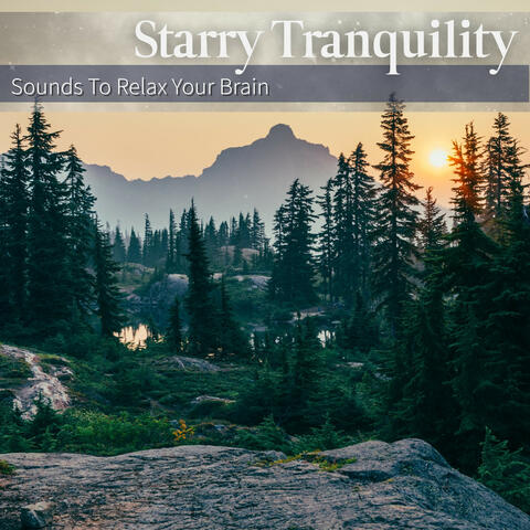 Sounds To Relax Your Brain