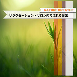 Restorative Tides of Clarity