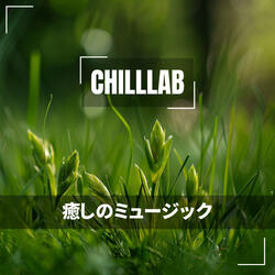 Cascading Veil of Tranquility