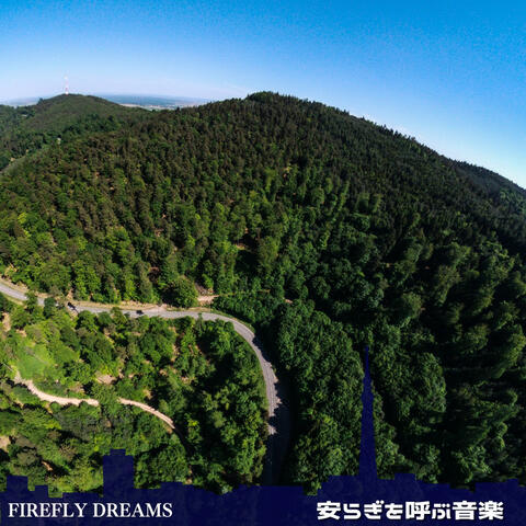 安らぎを呼ぶ音楽