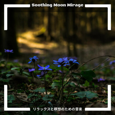 リラックスと瞑想のための音楽