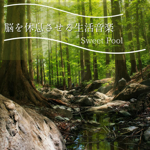 脳を休息させる生活音楽