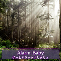 Reflective Meditation Journey