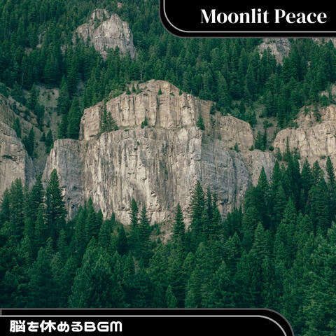 脳を休めるBGM