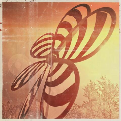 Pinwheel
