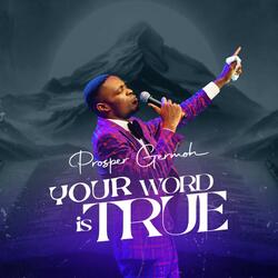 Your Word Is True