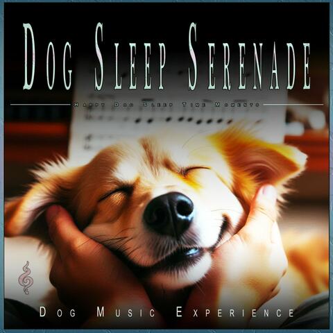 Dog Sleep Serenade: Happy Dog Sleep Time Moments