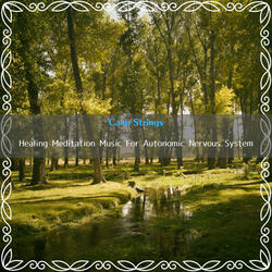 Scent of the Forest