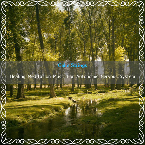 Healing Meditation Music For Autonomic Nervous System
