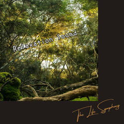 Sustained Hush of Resolve