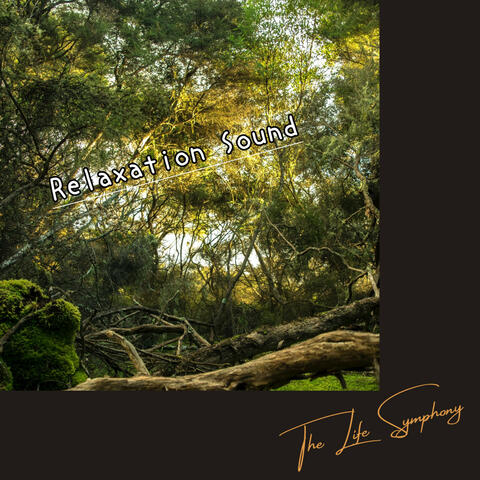 Relaxation Sound