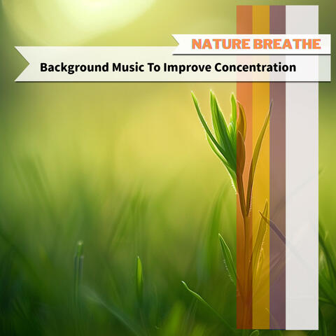 Background Music To Improve Concentration